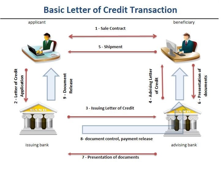Import L/C and Export L/C Explained: Complete Letter of Credit Guide for International Trade